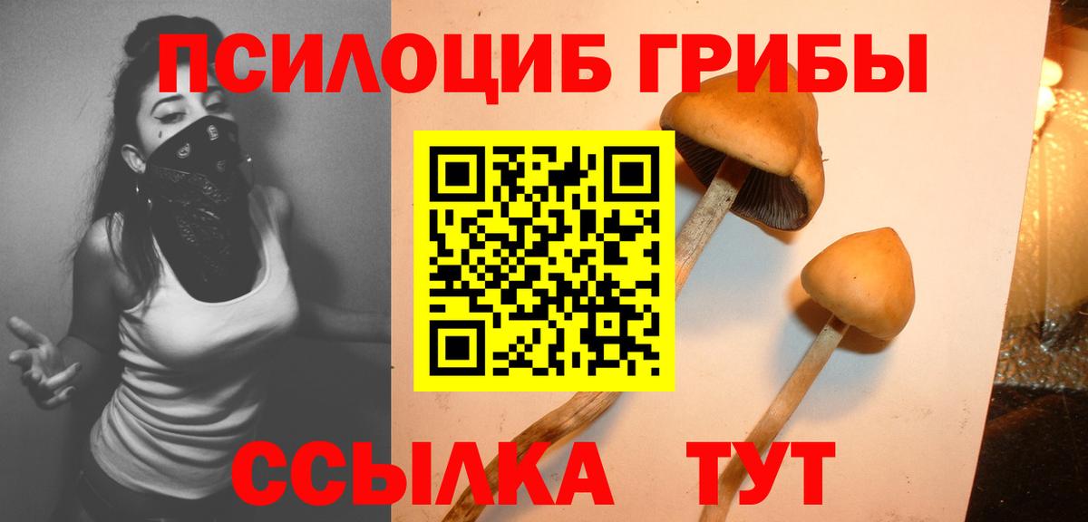 Псилоцибиновые грибы MAGIC MUSHROOMS  Галлюциногенные грибы GOLDEN TEACHER  Вход с VPN  Светлоград 